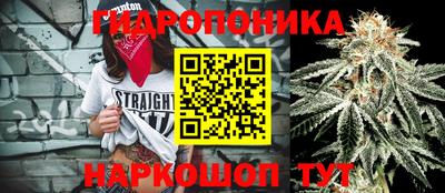 молекула духа Бузулук
