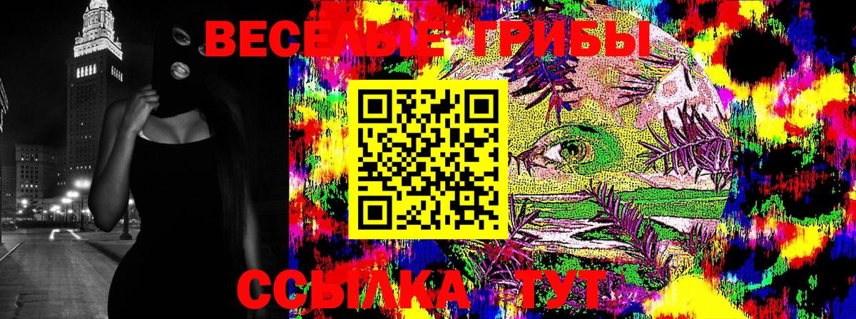 магазин продажи наркотиков  Галлюциногенные грибы прущие грибы  Вход с VPN  Серпухов 